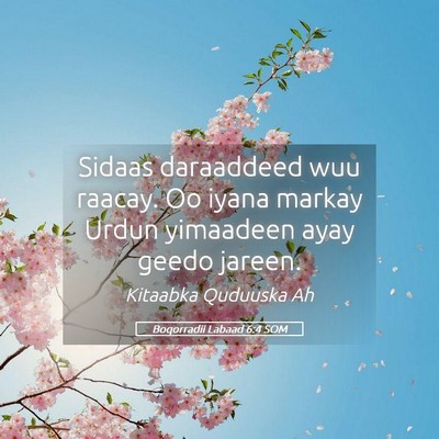 Picture 05 - Boqorradii Labaad 6:4 SOM - Sidaas daraaddeed wuu raacay. Oo iyana markay - Bible Verse Picture