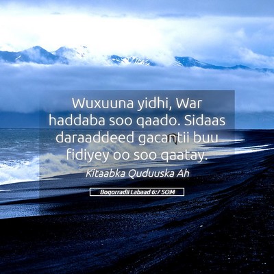 Picture 05 - Boqorradii Labaad 6:7 SOM - Wuxuuna yidhi, War haddaba soo qaado. Sidaas - Bible Verse Picture