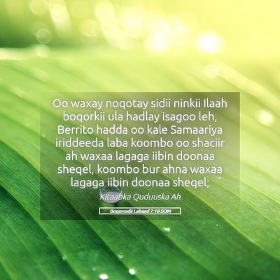 Picture 05 - Boqorradii Labaad 7:18 SOM - Oo waxay noqotay sidii ninkii Ilaah boqorkii ula - Bible Verse Picture