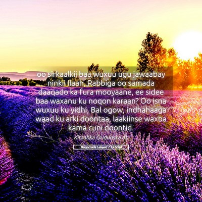Picture 05 - Boqorradii Labaad 7:19 SOM - oo sirkaalkii baa wuxuu ugu jawaabay ninkii - Bible Verse Picture