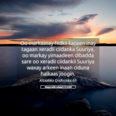 Picture 05 - Boqorradii Labaad 7:5 SOM - Oo markaasay fiidkii kaceen inay tagaan xeradii - Bible Verse Picture