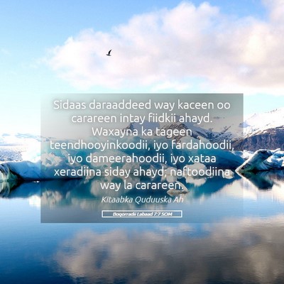 Picture 05 - Boqorradii Labaad 7:7 SOM - Sidaas daraaddeed way kaceen oo carareen intay - Bible Verse Picture