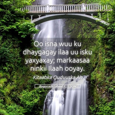 Picture 05 - Boqorradii Labaad 8:11 SOM - Oo isna wuu ku dhaygagay ilaa uu isku yaxyaxay; - Bible Verse Picture