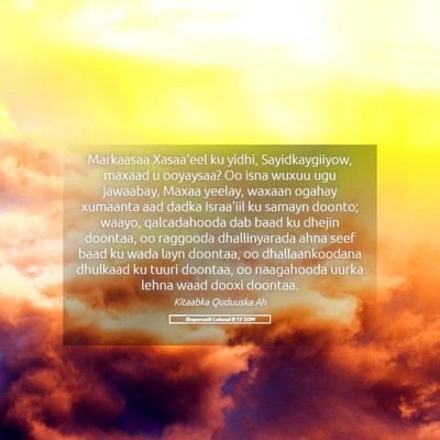 Picture 05 - Boqorradii Labaad 8:12 SOM - Markaasaa Xasaa'eel ku yidhi, Sayidkaygiiyow, - Bible Verse Picture