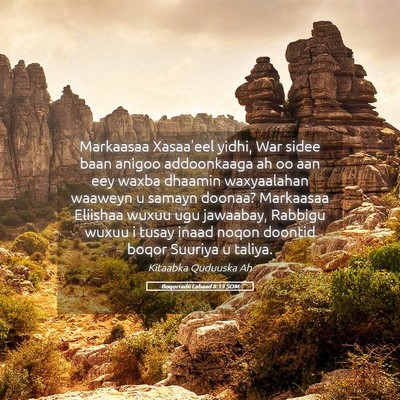 Picture 05 - Boqorradii Labaad 8:13 SOM - Markaasaa Xasaa'eel yidhi, War sidee baan anigoo - Bible Verse Picture