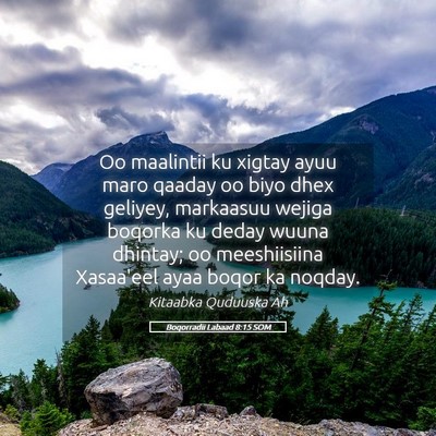 Picture 05 - Boqorradii Labaad 8:15 SOM - Oo maalintii ku xigtay ayuu maro qaaday oo biyo - Bible Verse Picture