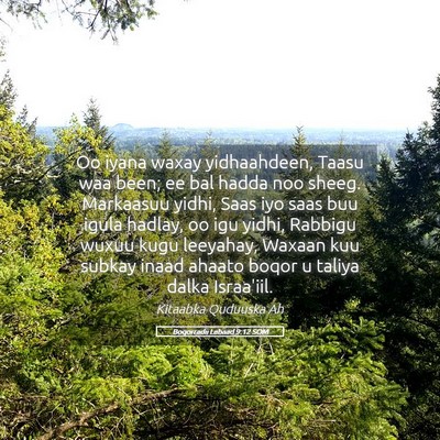 Picture 05 - Boqorradii Labaad 9:12 SOM - Oo iyana waxay yidhaahdeen, Taasu waa been; ee - Bible Verse Picture