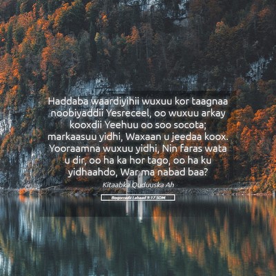 Picture 05 - Boqorradii Labaad 9:17 SOM - Haddaba waardiyihii wuxuu kor taagnaa noobiyaddii - Bible Verse Picture