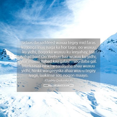 Picture 05 - Boqorradii Labaad 9:18 SOM - Sidaas daraaddeed waxaa tegey mid faras ku jooga - Bible Verse Picture