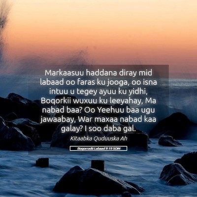 Picture 05 - Boqorradii Labaad 9:19 SOM - Markaasuu haddana diray mid labaad oo faras ku - Bible Verse Picture