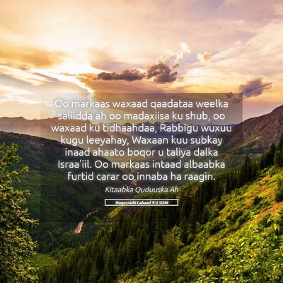 Picture 05 - Boqorradii Labaad 9:3 SOM - Oo markaas waxaad qaadataa weelka saliidda ah oo - Bible Verse Picture