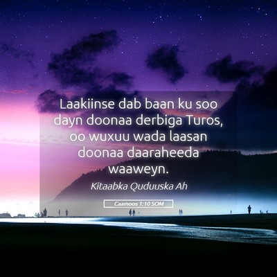 Picture 05 - Caamoos 1:10 SOM - Laakiinse dab baan ku soo dayn doonaa derbiga - Bible Verse Picture