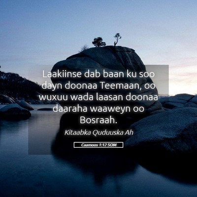 Picture 05 - Caamoos 1:12 SOM - Laakiinse dab baan ku soo dayn doonaa Teemaan, oo - Bible Verse Picture