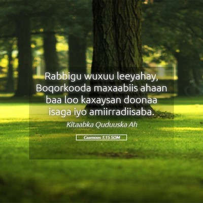 Picture 05 - Caamoos 1:15 SOM - Rabbigu wuxuu leeyahay, Boqorkooda maxaabiis - Bible Verse Picture