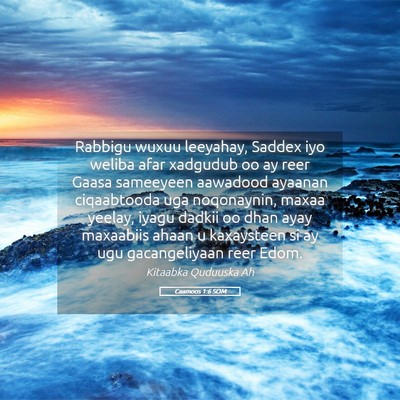 Picture 05 - Caamoos 1:6 SOM - Rabbigu wuxuu leeyahay, Saddex iyo weliba afar - Bible Verse Picture
