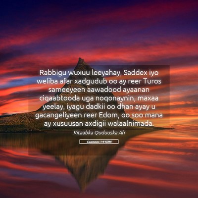 Picture 05 - Caamoos 1:9 SOM - Rabbigu wuxuu leeyahay, Saddex iyo weliba afar - Bible Verse Picture