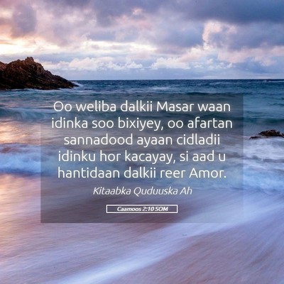 Picture 05 - Caamoos 2:10 SOM - Oo weliba dalkii Masar waan idinka soo bixiyey, - Bible Verse Picture