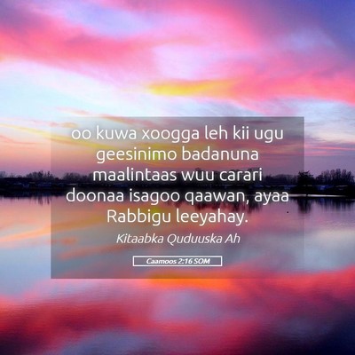 Picture 05 - Caamoos 2:16 SOM - oo kuwa xoogga leh kii ugu geesinimo badanuna - Bible Verse Picture