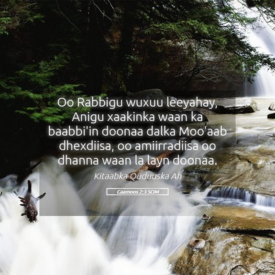 Picture 05 - Caamoos 2:3 SOM - Oo Rabbigu wuxuu leeyahay, Anigu xaakinka waan ka - Bible Verse Picture