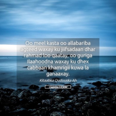 Picture 05 - Caamoos 2:8 SOM - Oo meel kasta oo allabariba agteed waxay ku - Bible Verse Picture
