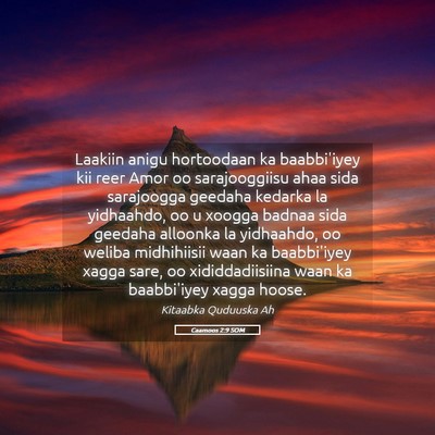 Picture 05 - Caamoos 2:9 SOM - Laakiin anigu hortoodaan ka baabbi'iyey kii reer - Bible Verse Picture