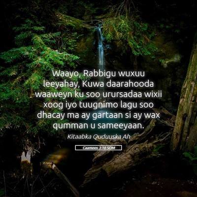 Picture 05 - Caamoos 3:10 SOM - Waayo, Rabbigu wuxuu leeyahay, Kuwa daarahooda - Bible Verse Picture