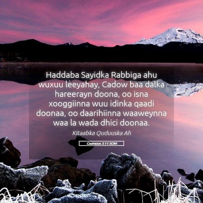 Picture 05 - Caamoos 3:11 SOM - Haddaba Sayidka Rabbiga ahu wuxuu leeyahay, Cadow - Bible Verse Picture