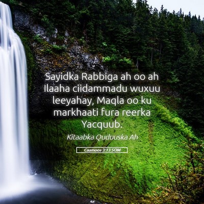 Picture 05 - Caamoos 3:13 SOM - Sayidka Rabbiga ah oo ah Ilaaha ciidammadu wuxuu - Bible Verse Picture