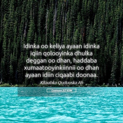 Picture 05 - Caamoos 3:2 SOM - Idinka oo keliya ayaan idinka iqiin qolooyinka - Bible Verse Picture