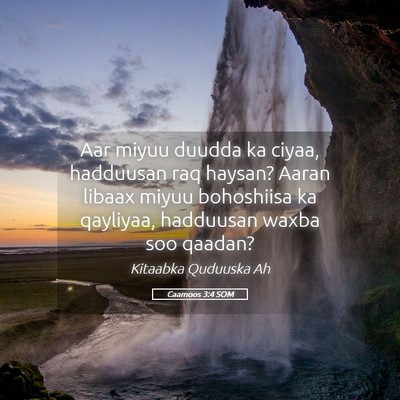 Picture 05 - Caamoos 3:4 SOM - Aar miyuu duudda ka ciyaa, hadduusan raq haysan? - Bible Verse Picture