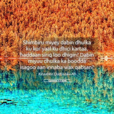 Picture 05 - Caamoos 3:5 SOM - Shimbiru miyey dabin dhulka ku kor yaal ku dhici - Bible Verse Picture