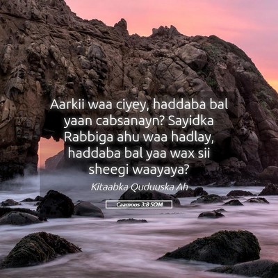 Picture 05 - Caamoos 3:8 SOM - Aarkii waa ciyey, haddaba bal yaan cabsanayn? - Bible Verse Picture