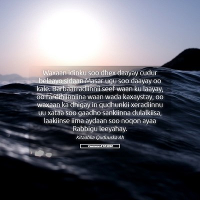 Picture 05 - Caamoos 4:10 SOM - Waxaan idinku soo dhex daayay cudur belaayo - Bible Verse Picture