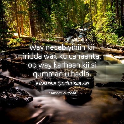 Picture 05 - Caamoos 5:10 SOM - Way neceb yihiin kii iridda wax ku canaanta, oo - Bible Verse Picture