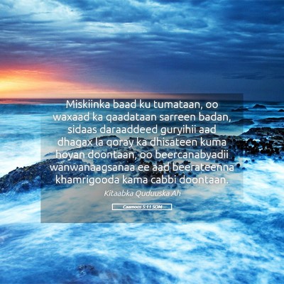 Picture 05 - Caamoos 5:11 SOM - Miskiinka baad ku tumataan, oo waxaad ka - Bible Verse Picture