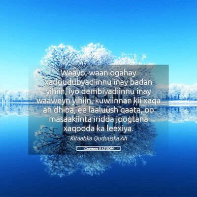 Picture 05 - Caamoos 5:12 SOM - Waayo, waan ogahay xadgudubyadiinnu inay badan - Bible Verse Picture