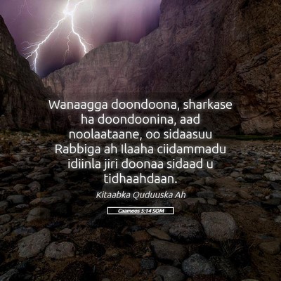 Picture 05 - Caamoos 5:14 SOM - Wanaagga doondoona, sharkase ha doondoonina, aad - Bible Verse Picture
