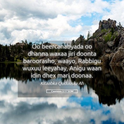 Picture 05 - Caamoos 5:17 SOM - Oo beercanabyada oo dhanna waxaa jiri doonta - Bible Verse Picture