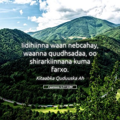 Picture 05 - Caamoos 5:21 SOM - Iidihiinna waan nebcahay, waanna quudhsadaa, oo - Bible Verse Picture