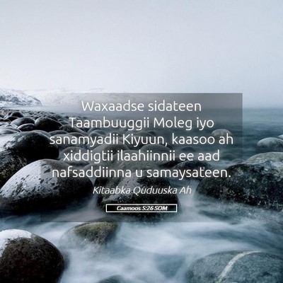 Picture 05 - Caamoos 5:26 SOM - Waxaadse sidateen Taambuuggii Moleg iyo - Bible Verse Picture