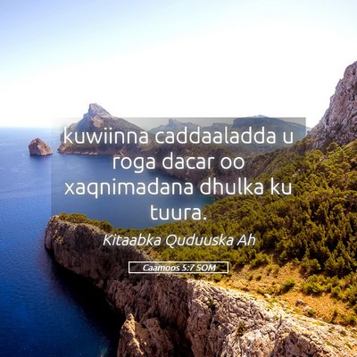 Picture 05 - Caamoos 5:7 SOM - kuwiinna caddaaladda u roga dacar oo xaqnimadana - Bible Verse Picture