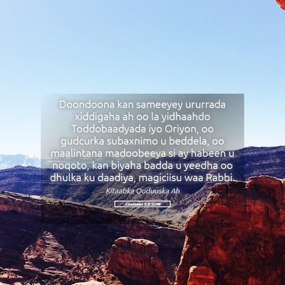 Picture 05 - Caamoos 5:8 SOM - Doondoona kan sameeyey ururrada xiddigaha ah oo - Bible Verse Picture