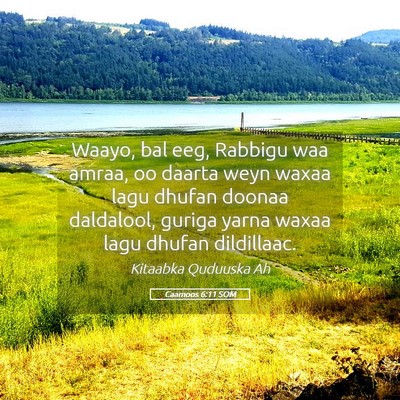 Picture 05 - Caamoos 6:11 SOM - Waayo, bal eeg, Rabbigu waa amraa, oo daarta weyn - Bible Verse Picture