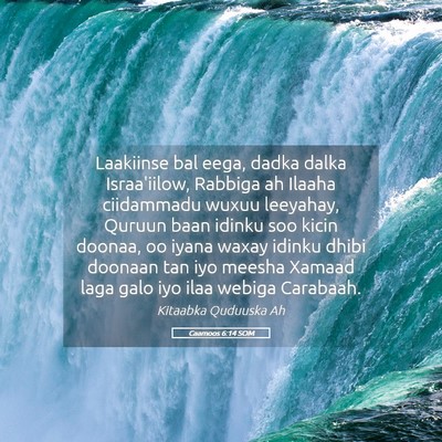 Picture 05 - Caamoos 6:14 SOM - Laakiinse bal eega, dadka dalka Israa'iilow, - Bible Verse Picture