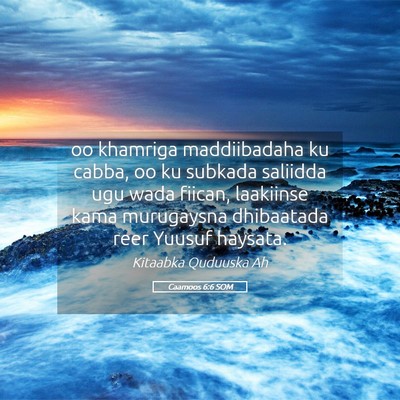 Picture 05 - Caamoos 6:6 SOM - oo khamriga maddiibadaha ku cabba, oo ku subkada - Bible Verse Picture