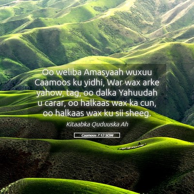 Picture 05 - Caamoos 7:12 SOM - Oo weliba Amasyaah wuxuu Caamoos ku yidhi, War - Bible Verse Picture