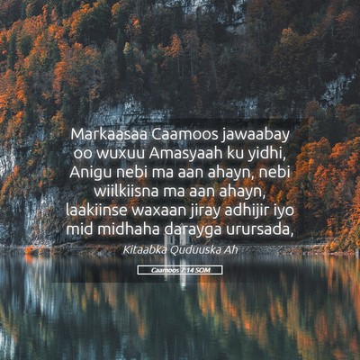 Picture 05 - Caamoos 7:14 SOM - Markaasaa Caamoos jawaabay oo wuxuu Amasyaah ku - Bible Verse Picture