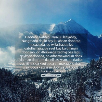 Picture 05 - Caamoos 7:17 SOM - Haddaba Rabbigu wuxuu leeyahay, Naagtaadu dhillo - Bible Verse Picture