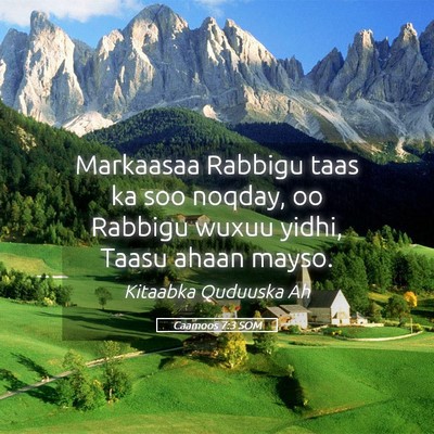 Picture 05 - Caamoos 7:3 SOM - Markaasaa Rabbigu taas ka soo noqday, oo Rabbigu - Bible Verse Picture