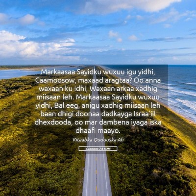 Picture 05 - Caamoos 7:8 SOM - Markaasaa Sayidku wuxuu igu yidhi, Caamoosow, - Bible Verse Picture